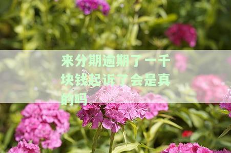 来分期逾期了一千块钱起诉了会是真的吗-来分期逾期了一千块钱起诉了会是真的吗