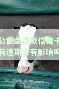 公积金贷款信用卡有逾期怎么办？影响及解决办法全解析