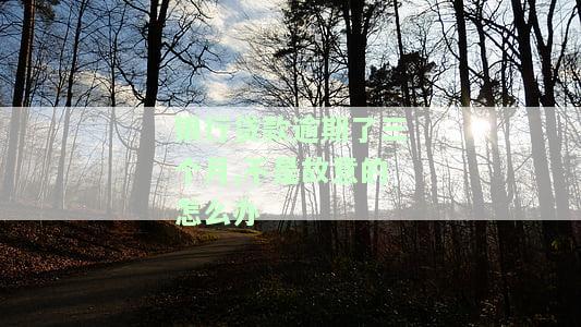 银行贷款逾期3个月未处理，收到律师函，可能被起诉