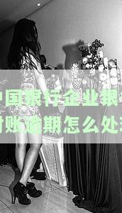 中国银行企业银行对账逾期处理方法及操作步骤