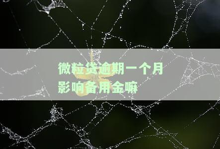 微粒贷逾期一个月还进去后还能继续使用么，微粒贷逾期1个月还款后，能否继续正常使用？