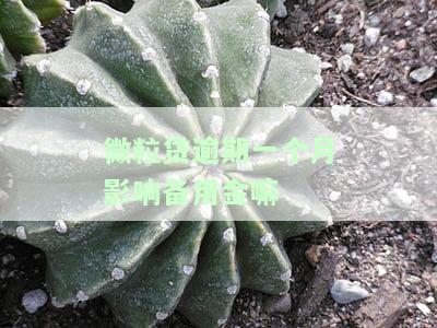 微粒贷逾期一个月影响备用金嘛