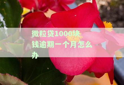 微粒贷1000块钱逾期一个月怎么办啊，急需解决！微粒贷逾期一个月，应该如何处理？