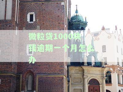 微粒贷1000元逾期一个月：如何办理分期、期还款？逾期后果严重！