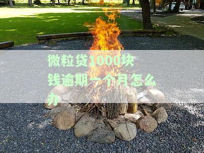 微粒贷逾期一千多：可能被起诉、冻结银行卡及外访人员上门，是否能分期需具体情况分析