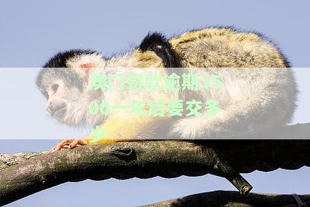 在澳门逾期一天可以不交罚款吗，澳门交通规则：逾期一天是否需要缴纳罚款？