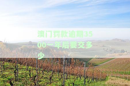 澳门被罚款不交可以吗，澳门罚款不交会有什么后果？