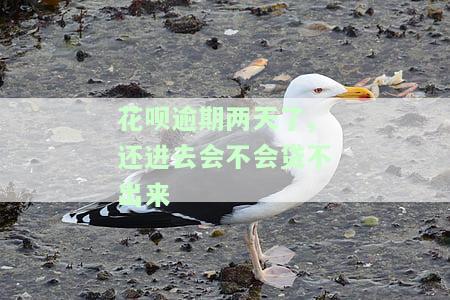 花呗逾期两天后还清，多久能恢复使用？逾期是否影响征信？