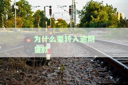 为什么要转入逾期贷款账户？原因、信息及处理方式解析