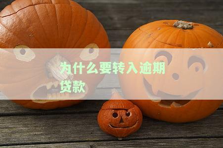 为什么要转入逾期贷款记录，探究逾期贷款记录的转接原因