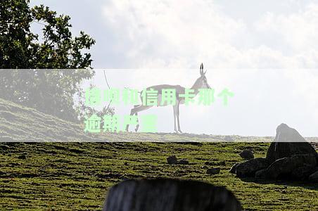 借呗与信用卡逾期哪个更严重？对比分析