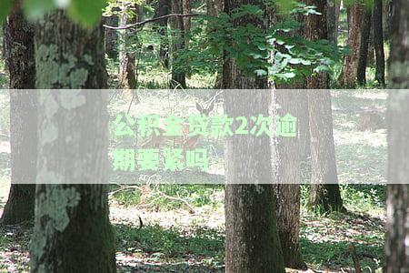 公积金贷款2次逾期要紧吗-公积金贷款2次逾期要紧吗怎么办