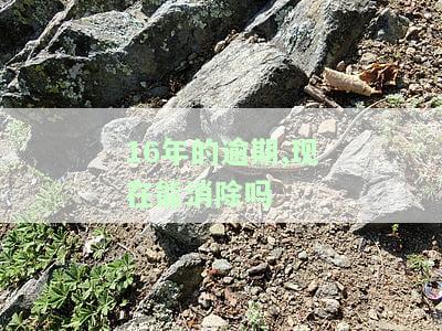 16年逾期对2020有影响吗？现在能消除吗？已经5年了，还能正常贷款吗？