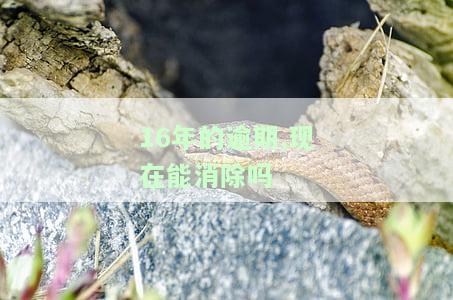 16年的逾期记录如何影响现在的贷款申请？可以被消除吗？