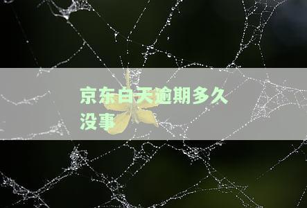 京东白天逾期2个月会被纳入失信人吗？影响及后果解析