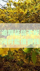 有逾期征信不好在云闪付能借到钱吗？怎么办理？会影响征信吗？