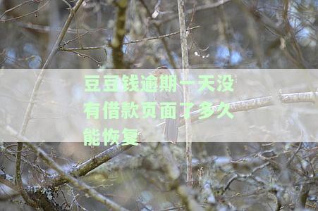 豆豆钱逾期一天会怎么样，了解豆豆钱逾期一天的后果