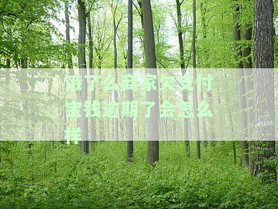 饿了吗逾期几个月会怎样，饿了么逾期数月：可能面临的后果和解决方案