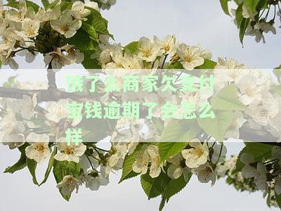 饿了么商家欠支付宝钱逾期了会怎么样