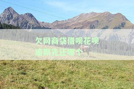 支付宝借呗、花呗、网商贷逾期了，先还哪个？逾期处理顺序全解析