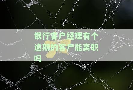 银行客户经理有个逾期的客户能否离职？影响与后果是什么？