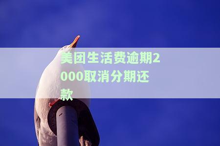 美团生活费逾期说取消分期：全款还是分期？如何处理？