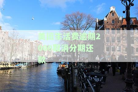 美团生活费逾期后还清逾期后,剩下的还可以分期还吗，美团生活费逾期还款后，剩余欠款可以分期偿还吗？