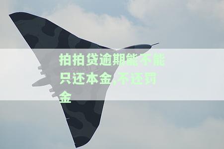 拍拍贷逾期后如何处理？只还本金可行吗？