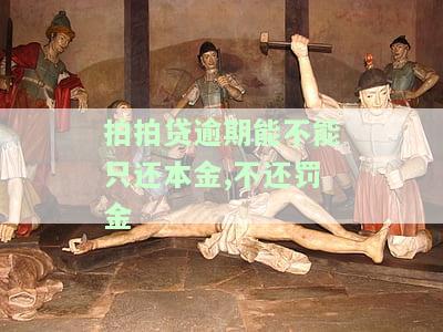 拍拍贷逾期的高额利息不还只还本金可以吗，拍拍贷逾期：只还本金可行吗？高额利息应该如何处理？