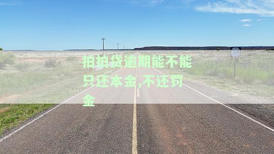 拍拍贷欠款可不还？安全性、后果全解析