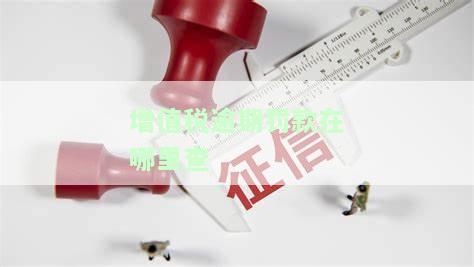 增值税逾期罚款在哪里查询，如何查询增值税逾期罚款？