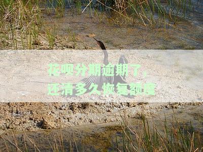 花呗分期逾期还了要什么时候才能恢复继续使用，花呗分期逾期还款后，何时能重新使用？