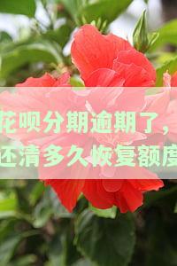 花呗分期逾期了几天,现在还了,会影响征信吗，花呗分期逾期几天再还款，会留下不良记录吗？