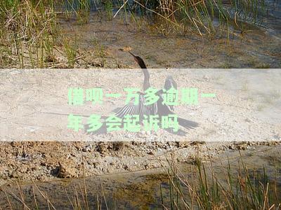 借呗一万多逾期一年多会起诉吗，逾期一年多，借呗一万多是否会被起诉？