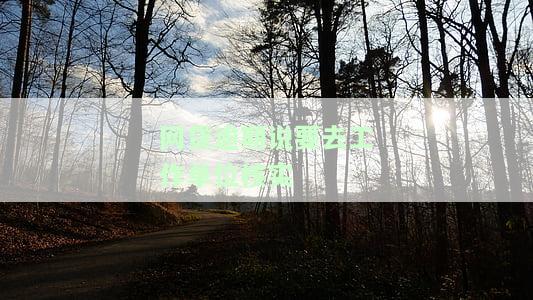 网贷逾期：真的会去工作单位核实吗？