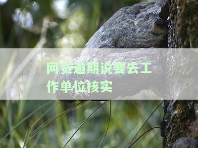 网贷逾期了说要上单位或者户地，警惕网贷逾期：小心个人信息被泄露并可能影响工作和生活