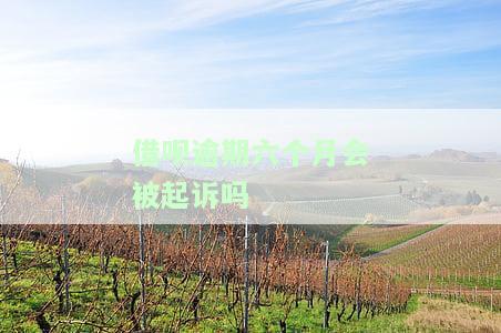 借呗逾期六个月已经还完了还是黑户吗，借呗逾期六个月已全额还款，是否仍会成为黑户？