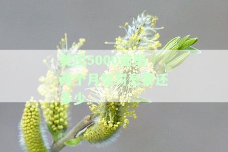 美团逾期每个月还几百进去会不会被起诉，美团逾期还款：每月还几百会被起诉吗？