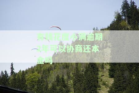 有钱花度小满逾期2年可以协商还本金吗