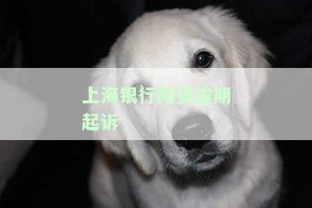 上海银行网贷逾期起诉真的有用吗？已逾期者称被要求起诉无法协商