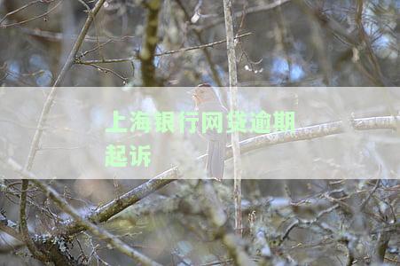上海银行起诉我了，遭遇法律纠纷：我被上海银行告上了法庭