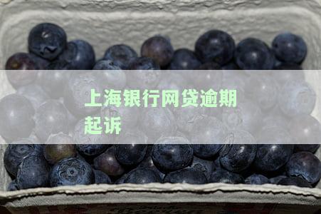 上海银行逾期贷款：多久上征信、需全额还款、会被起诉？