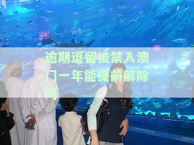 逾期逗留被禁入澳门一年能否提前解除？出境政策及操作指南