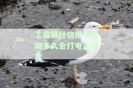 工商银行信用卡逾期多久会打电话催款-工商银行信用卡逾期多久会打电话催款呢