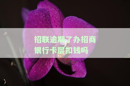逾期招联我招商蓄卡：会扣钱、被强制扣款、影响信用卡、一年多未还被短信通知，名下银行卡可能被冻结