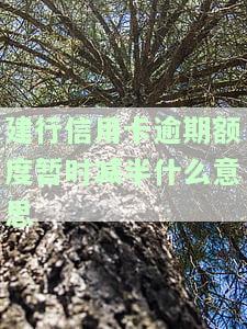 建行的信用卡逾期利息可申请减免？2021年新政策解析