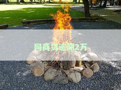 网商贷逾期2万怎么协商，如何协商解决网商贷逾期两万元的问题？