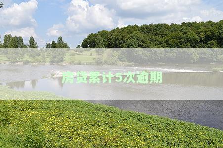 房贷有5次逾期，房贷逾期五次：如何避免类似问题的发生？