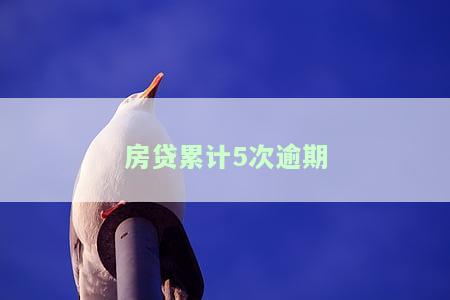 房贷累计5次逾期