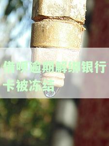 借呗逾期解绑银行卡被冻结